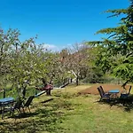 Tsigaridas Mountain *