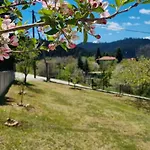 Сasa de vacaciones Tsigaridas Mountain Neokhorion