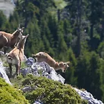 Tsigaridas Mountain