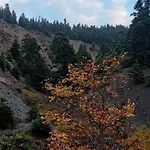 Tsigaridas Mountain Nyaraló