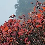 Tsigaridas Mountain Neokhorion