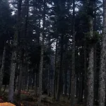Nyaraló Tsigaridas Mountain *