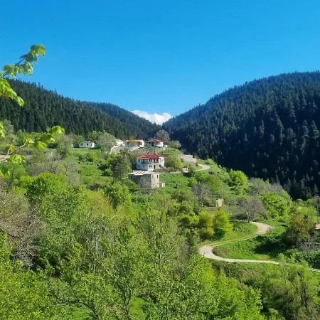 Σπίτι διακοπών Tsigaridas Mountain