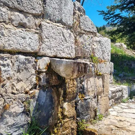 Tsigaridas Mountain Σπίτι διακοπών