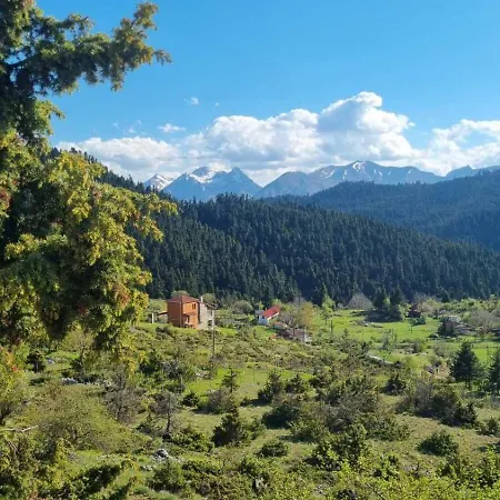 Tsigaridas Mountain Σπίτι διακοπών Neokhorion