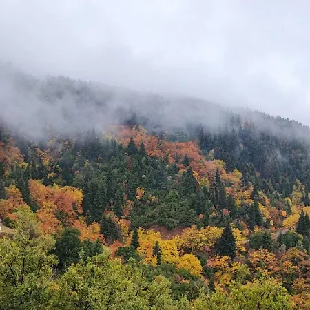 Tsigaridas Mountain * Neokhorion