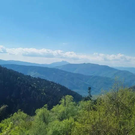 Σπίτι διακοπών Tsigaridas Mountain *