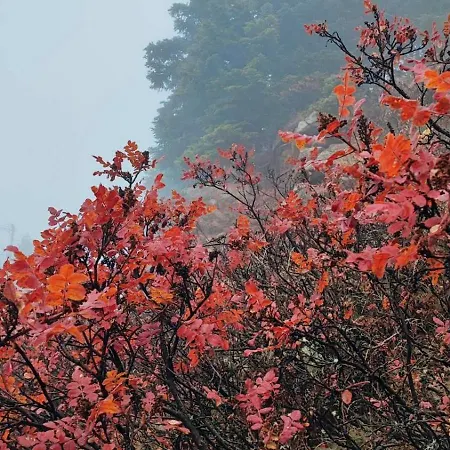 Tsigaridas Mountain Neokhorion