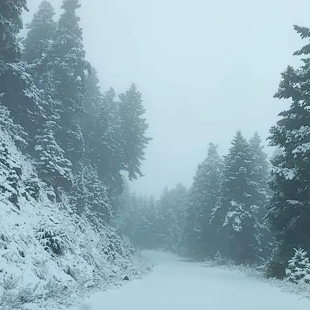 Tsigaridas Mountain * Neokhorion