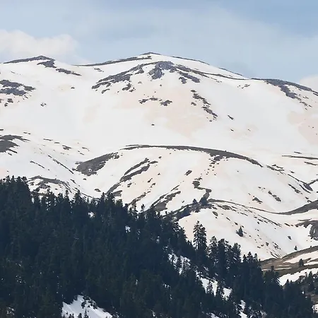 Tsigaridas Mountain Nyaraló *