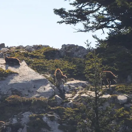 Tsigaridas Mountain *